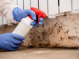 Forensic Mold Investigation in Albertson, NY